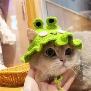 Chat portant un bonnet vert au crochet en forme de grenouille, avec yeux ronds et joues roses